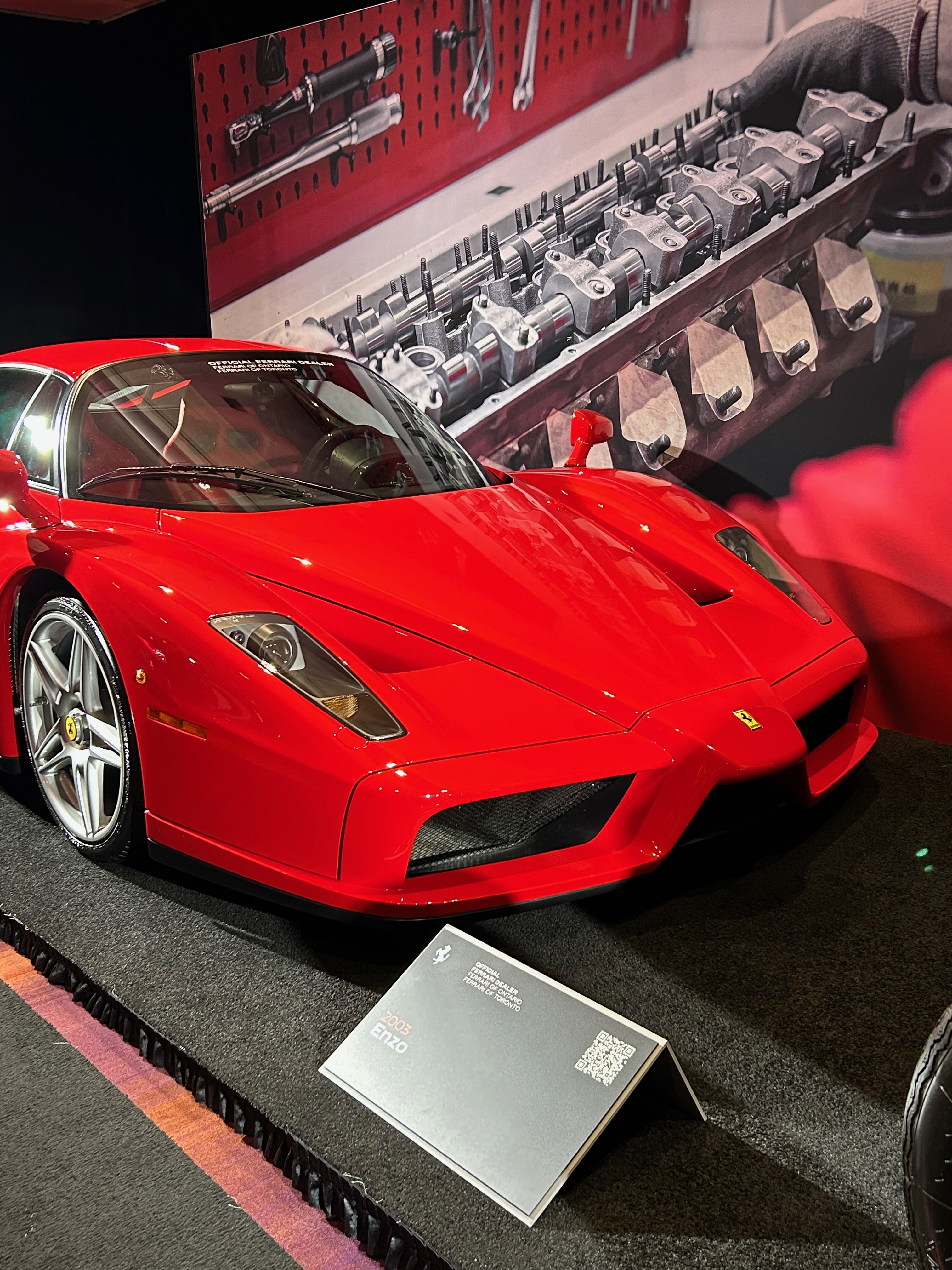 Sameen – casual photo 2